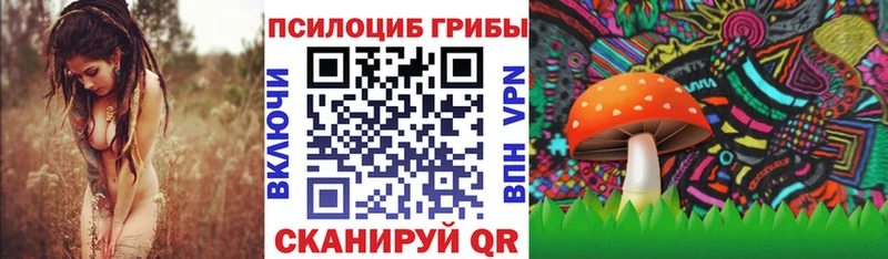 Купить закладки  Алейск  Псилоцибиновые грибы Psilocybine cubensis 