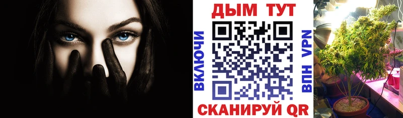 Купить закладки  Алейск  МАРИХУАНА SATIVA & INDICA